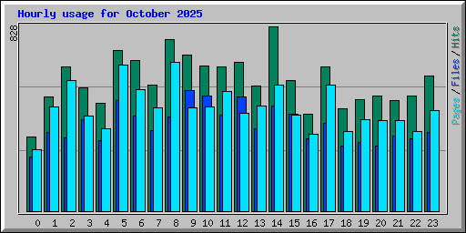 Hourly usage for October 2025