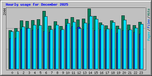 Hourly usage for December 2025