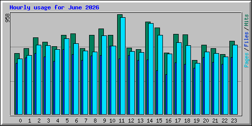 Hourly usage for June 2026